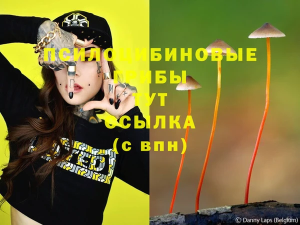 гидропоника Алексин