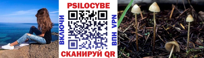Псилоцибиновые грибы Magic Shrooms  Ардон 